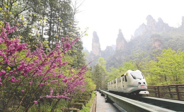股票配资官方平台 ST张家界及子公司遭索赔3.86亿元 “山水旅游第一股”预重整仍在推进