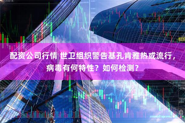 配资公司行情 世卫组织警告基孔肯雅热或流行，病毒有何特性？如何检测？