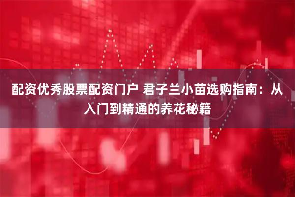 配资优秀股票配资门户 君子兰小苗选购指南：从入门到精通的养花秘籍