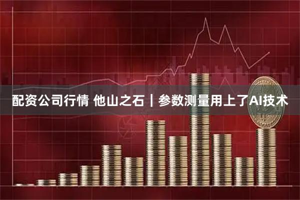 配资公司行情 他山之石｜参数测量用上了AI技术