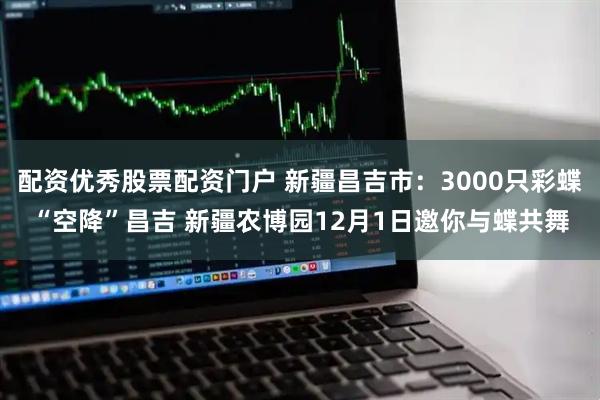 配资优秀股票配资门户 新疆昌吉市：3000只彩蝶“空降”昌吉 新疆农博园12月1日邀你与蝶共舞