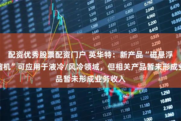 配资优秀股票配资门户 英华特：新产品“磁悬浮离心压缩机”可应用于液冷/风冷领域，但相关产品暂未形成业务收入
